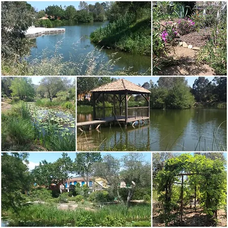 Romantique Vue Mer, Balneo Et Jardin דירה *